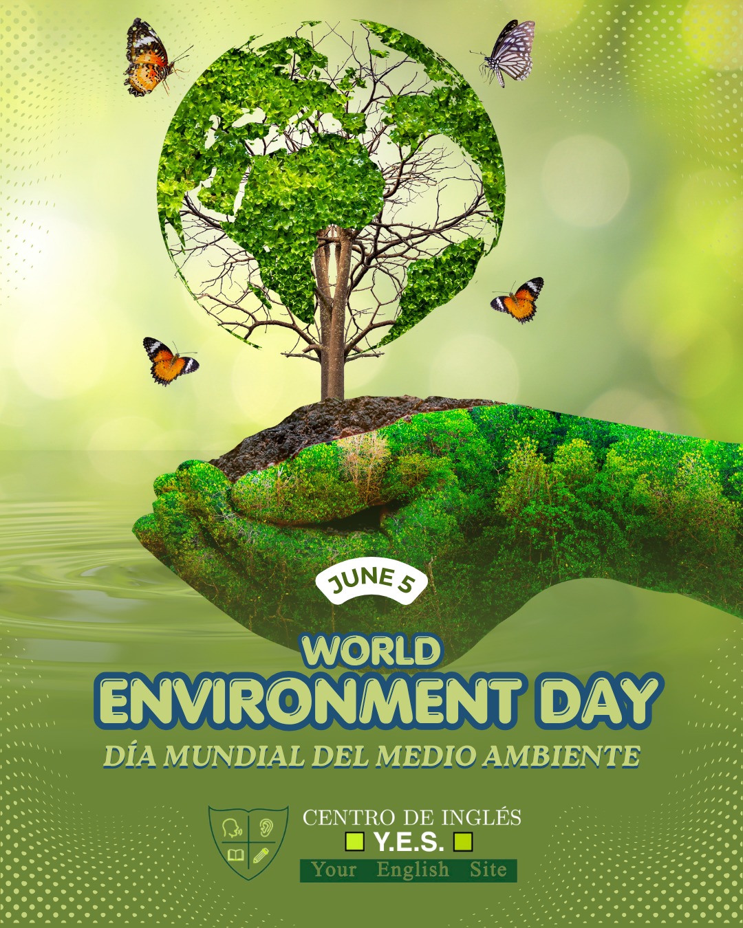 🌎 5 de Junio: Día Mundial del Medio Ambiente